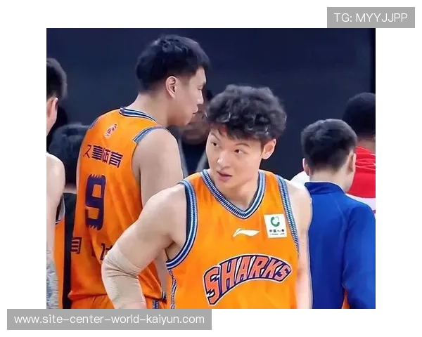 上海久事内线双塔统治力稳固 怀特塞德王哲林组合成争冠基石